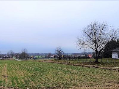 Sprzedam działkę rolno-bud. 4403m2 Dworszowice Pak. powiat Pajęczno 