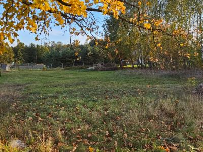 Działka bud.; 1286M2; zadrzewiona; WZ; LIPA