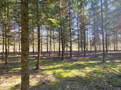 Działka bud. 1202M2; WZ; STUDNIE