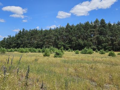 Działka bud. 1295M2; Nowa Wola