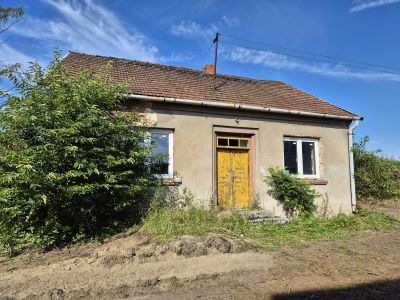 Duża działka 32 ar z domem - Czarna, dębicki